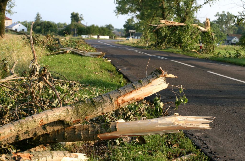 Tree Service Lake Norman - Storm Cleanup 1 Tree Service Lake Norman - Storm Cleanup 1
