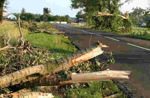 Lake Norman Tree Pros can  clean up the storm damage from your trees