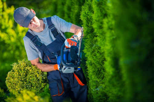 We provide tree pruning and trimming service for the Charlotte, Huntersville, and Lake Norman areas